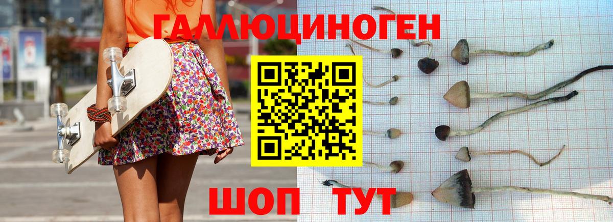 Галлюциногенные грибы Psilocybine cubensis Большой Камень