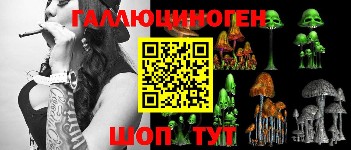 Псилоцибиновые грибы MAGIC MUSHROOMS  где купить наркоту  Большой Камень  Галлюциногенные грибы мицелий  Вход с VPN 